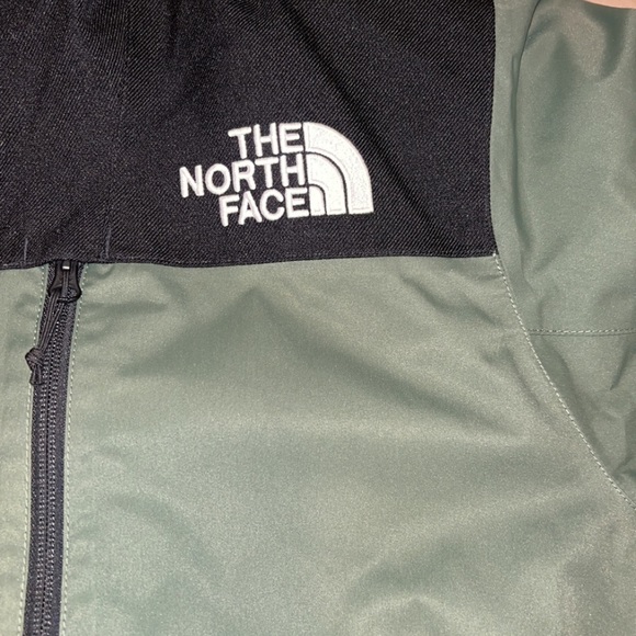 The North Face Down Parka - Picture 2 of 4